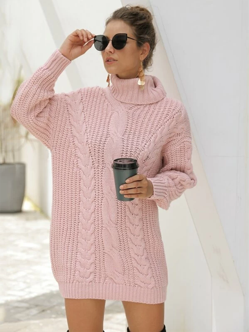Aspen Knit Turtle-Neck Dress