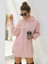 Aspen Knit Turtle-Neck Dress - 2 Love One