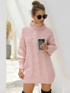 Aspen Knit Turtle-Neck Dress - 2 Love One